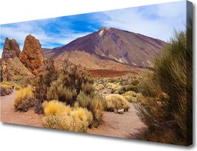 Duży obraz na płótnie Surowy Pejzaż Górski