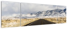 Obraz - Great Basin, Nevada, USA (170x50 cm)