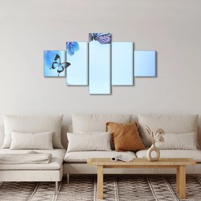 Obraz - Motyl na kwiatach orchidei, niebieski (125x70 cm)