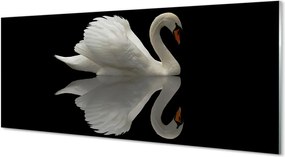 Szkło do Kuchni na Ścianę Łabędź w Blasku Nocy