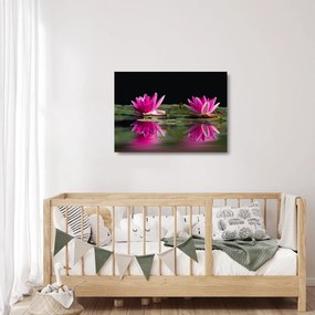 Obraz na szkle lilii wodnych na wodzie (70x50 cm)