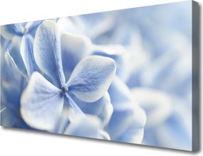 Obraz canvas Delikatność Płatków Kwiatowych