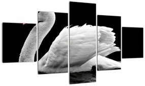 Obraz czarno - białego łabędzia (125x70 cm)