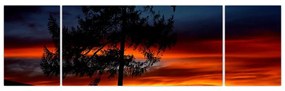 Obraz - Sylwetka wilka (170x50 cm)
