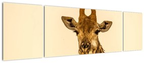 Obraz żyrafy (170x50 cm)
