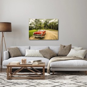 Obraz - zabytkowy samochód w przyrodzie (70x50 cm)