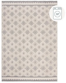 Szarobeżowy dywan odpowiedni do prania 116x170 cm Graysen – Flair Rugs