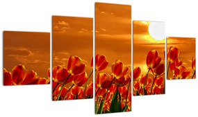 Obraz kwitnącego pola z tulipanami (125x70 cm)