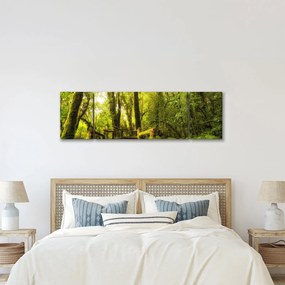 Obraz omszałej dżungli (170x50 cm)