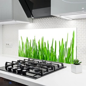 Panel Kuchenny Polna Trawa O Złotej Godzinie