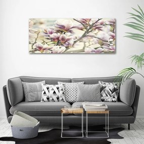 Foto obraz canvas Magnolia