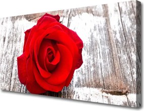 Fotoobraz na płótnie Czerwone Maki w Pełni Lata