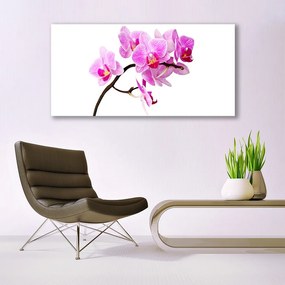 Obraz na płótnie Polne Kwiaty w Słońcu