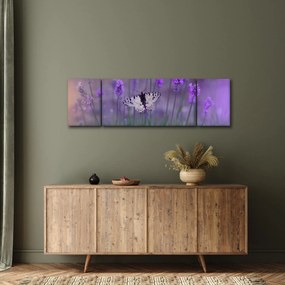 Obraz - Motyl w lawendach (170x50 cm)