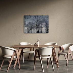 Obraz - Sylwetki drzew z liśćmi (70x50 cm)