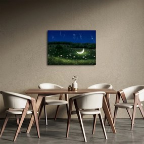 Obraz - Spadające niebo (70x50 cm)