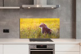 Panel szklany do Kuchni Kot w Trakcie Polowania