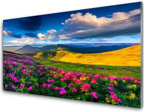 Panel Kuchenny Malownicza Łąka Kwiatowa
