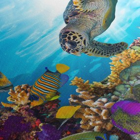Obraz rafy koralowej (170x50 cm)