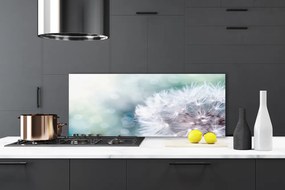 Szkło do Kuchni na Ścianę Puszysty Mniszek Lekarski