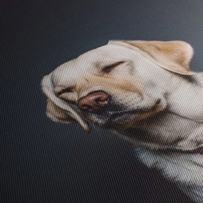 Obraz labradora (70x50 cm)