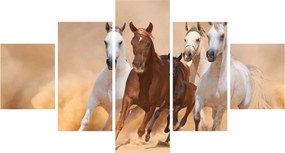 Obraz - Stado koni (125x70 cm)