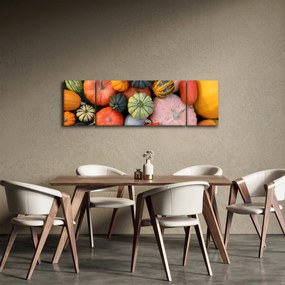 Obraz - Dynia (170x50 cm)