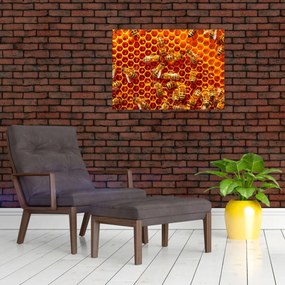 Obraz na szkle - Plaster miodu (70x50 cm)