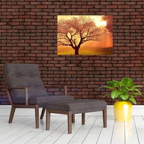 Obraz na szkle promieni Boga (70x50 cm)