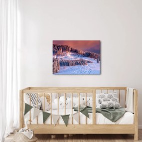 Obraz zimowego krajobrazu (70x50 cm)