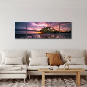 Obraz drzewa na plaży (170x50 cm)