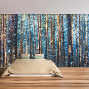 Fototapeta - Zimowy las (196x136 cm)