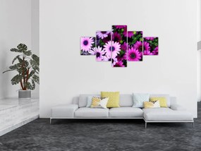 Obraz - Kwiaty (125x70 cm)