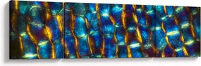 Obraz - Ściana komórkowa (170x50 cm)