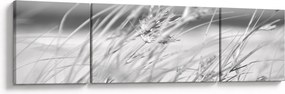 Obraz - Trawa plażowa (170x50 cm)