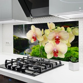 Panel Kuchenny Słońce Przebijające Przez Korony