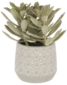 Sztuczny sukulent (wysokość 23 cm) Kalanchoe Tomentosa – Kave Home