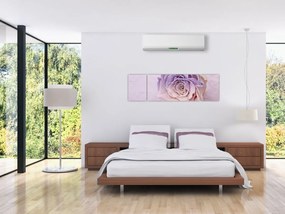 Obraz szczegółu kwiatu róży (170x50 cm)