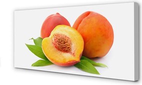 Zdjęcie na płótnie Złocista Słodka Morela