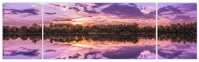 Obraz fioletowego nieba (170x50 cm)