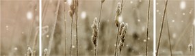 Obraz - Harmonious Meadow (170x50 cm)