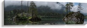 Obraz drzew w jeziorze (170x50 cm)