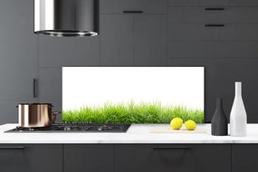 Panel Kuchenny Naturalny Dywan Trawy