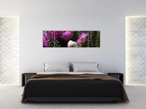 Obraz - Muszla ślimaka (170x50 cm)