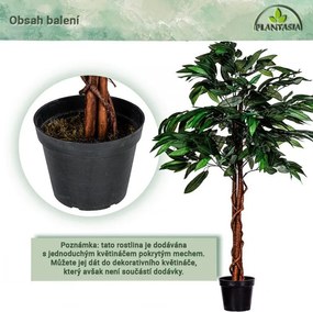PLANTASIA Sztuczne drzewo mango 120 cm