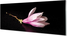 Panel Kuchenny Szklany Kwiat Lotosu na Wodzie