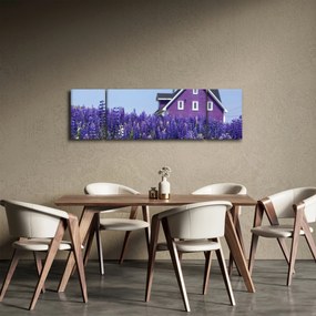 Obraz lawendowego pola (170x50 cm)