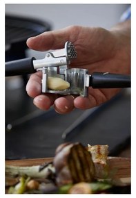 Praska do czosnku – Holm