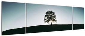 Obraz natury - drzewo (170x50 cm)