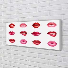 Obraz na płótnie Czerwień i Róż Ust